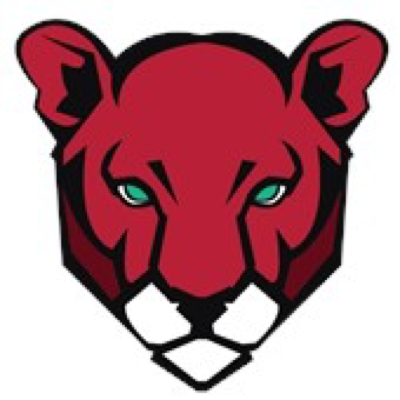 Houston logo
